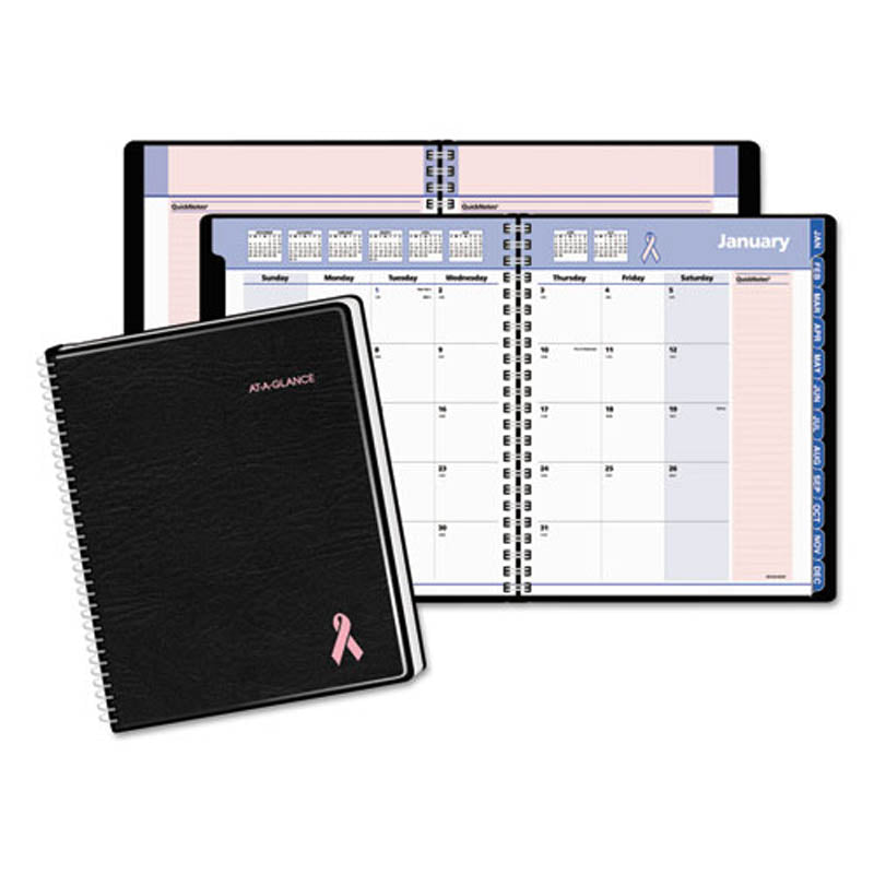 At-a-glance QuickNotes Special Edition Monthly Planner